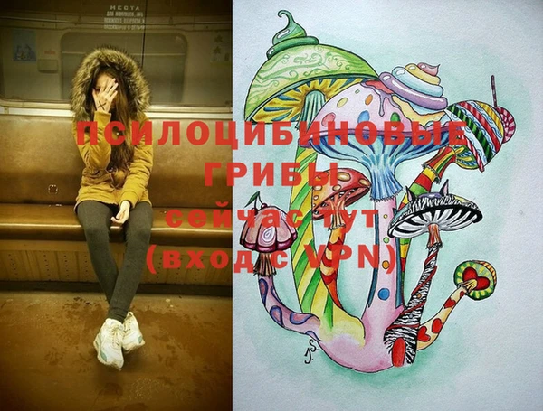 Альфа ПВП Осинники