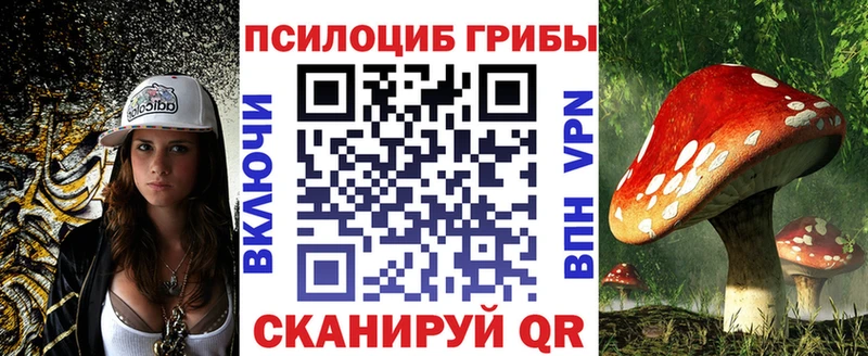 Псилоцибиновые грибы GOLDEN TEACHER  Бодайбо 